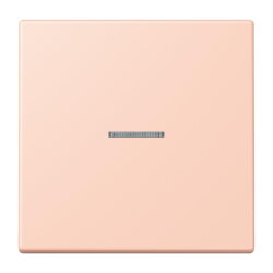 Jung Wippe mit Lichtleiter für Taster 1fach, Serie...