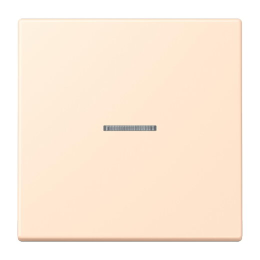 Jung Wippe mit Lichtleiter für Taster 1fach, Serie LS, terre sienne pâle LC101KO5238