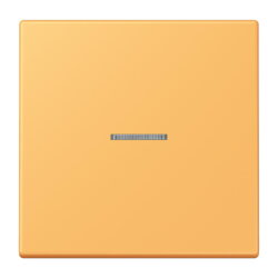 Jung Wippe mit Lichtleiter für Taster 1fach, Serie...