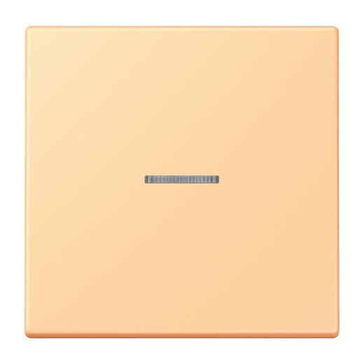 Jung Wippe mit Lichtleiter für Taster 1fach, Serie LS, terre sienne claire 59 LC101KO5258