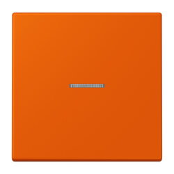 Jung Wippe mit Lichtleiter für Taster 1fach, Serie...