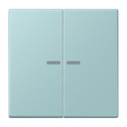 Jung Wippe mit Lichtleiter für Taster 2fach, Serie...