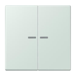 Jung Wippe mit Lichtleiter für Taster 2fach, Serie...