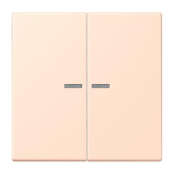 Jung Wippe mit Lichtleiter für Taster 2fach, Serie...