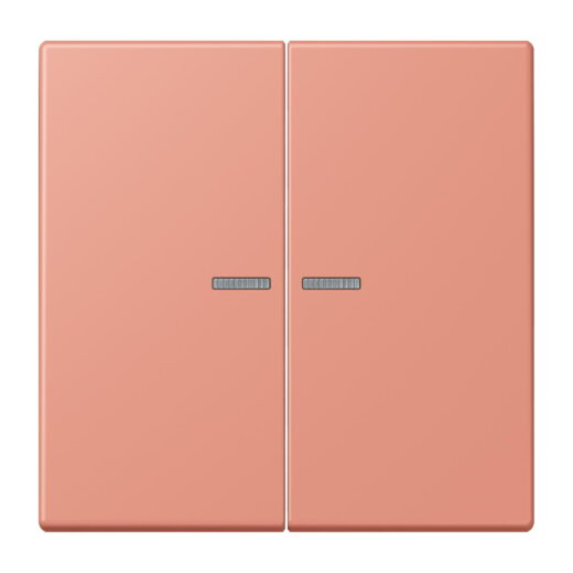 Jung Wippe mit Lichtleiter für Taster 2fach, Serie LS, locre rouge moyen LC102KO5233