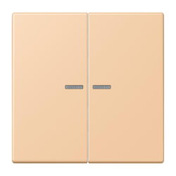 Jung Wippe mit Lichtleiter für Taster 2fach, Serie...