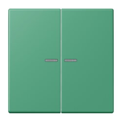 Jung Wippe mit Lichtleiter für Taster 2fach, Serie...