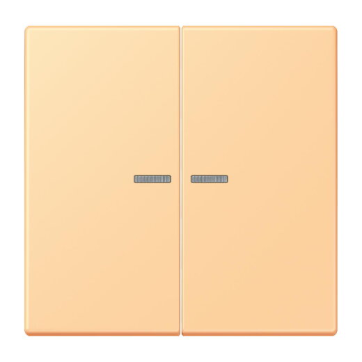 Jung Wippe mit Lichtleiter für Taster 2fach, Serie LS, terre sienne claire 59 LC102KO5258