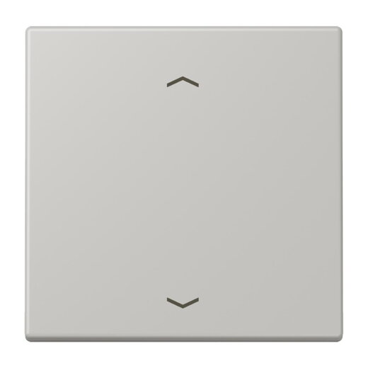 Jung Wippe, mit Pfeilsymbolen für Taster 1fach, Serie LS, gris clair 31 LC101P205