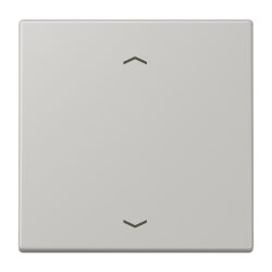 Jung Wippe, mit Pfeilsymbolen für Taster 1fach,...