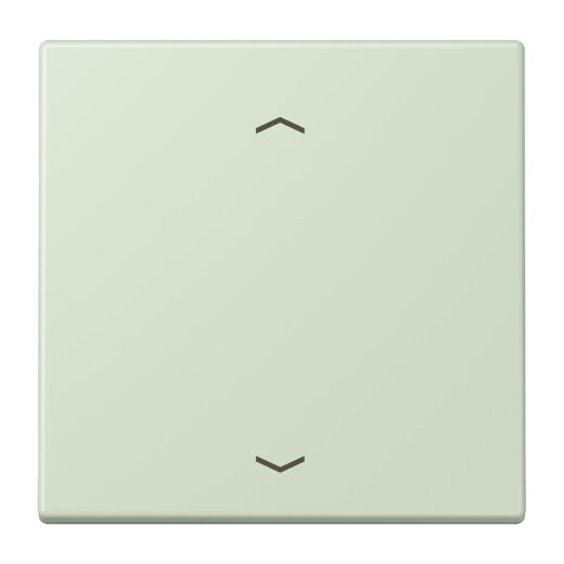Jung Wippe, mit Pfeilsymbolen für Taster 1fach, Serie LS, vert anglâis pale LC101P218