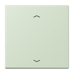 Jung Wippe, mit Pfeilsymbolen für Taster 1fach,...