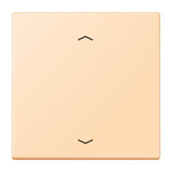 Jung Wippe, mit Pfeilsymbolen für Taster 1fach,...