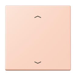 Jung Wippe, mit Pfeilsymbolen für Taster 1fach,...