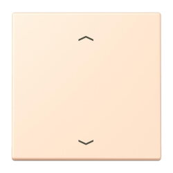 Jung Wippe, mit Pfeilsymbolen für Taster 1fach,...