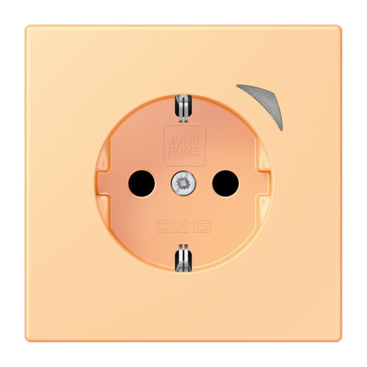 Jung HOME SCHUKO® Steckdose, 16 A 250 V ~, Schraubklemmen, mit Funktionsanzeige, SAFETY+, Thermoplast lackiert BTLC1521S258