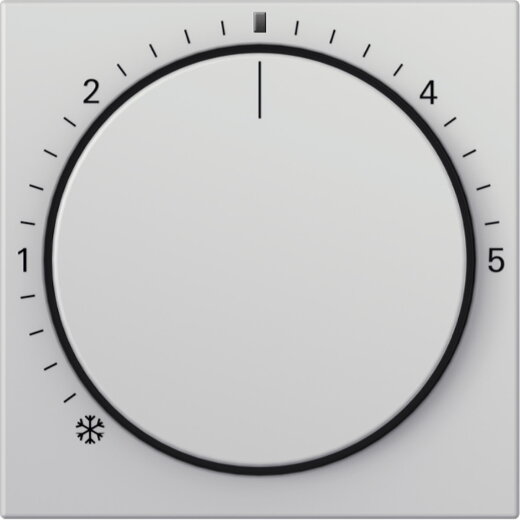 Gira Abd. RTR Kontroll System 55 Grau m 2702015