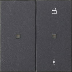 Gira S3000 Jal.-/Schaltuhr BT System 55 Anthrazit 538128