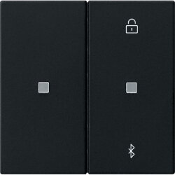 Gira S3000 Jal.-/Schaltuhr BT System 55 Schwarz m 5381005