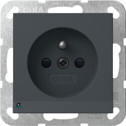 Gira Steckd. Erdstift LED-Leuchte + SH System 55...