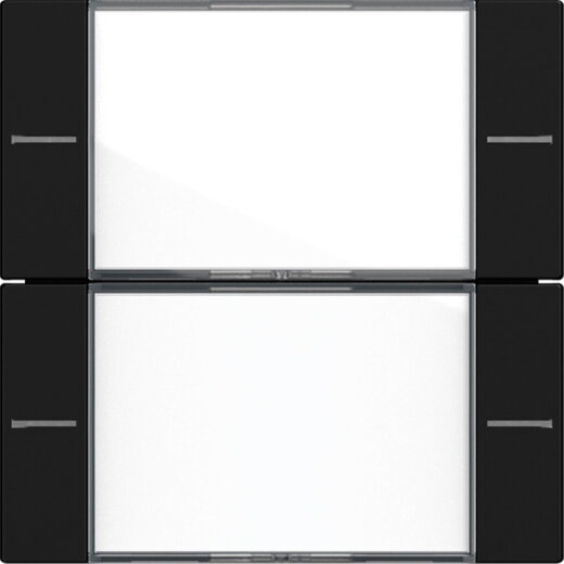 Gira Wippenset 2f BSF Tastsens.4 System 55 Klar/Schwarz m 5772005