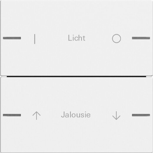 Gira Wippenset 2f indiv. Tastsens.4 System 55 Reinweiß m 576227