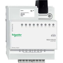 Schneider Electric Binäreingang