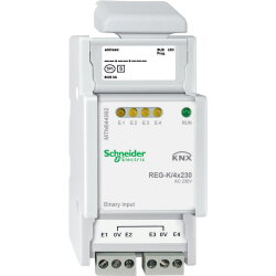 Schneider Electric Binäreingang