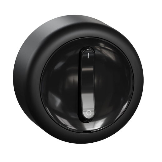 ELSO Ausschalter RENOVA schwarz 2p. 16A