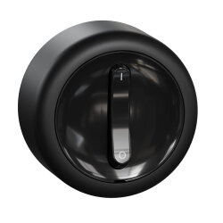 ELSO Ausschalter RENOVA schwarz 2p. 16A