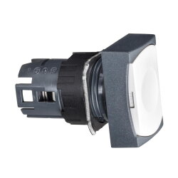 Schneider Electric Frontelement