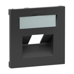 Legrand Abdeckung SEANO 1x RJ45 f.Datendosen anthr