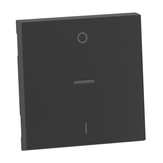 Legrand Wippe SEANO Ausschalter 2-pol.anthr