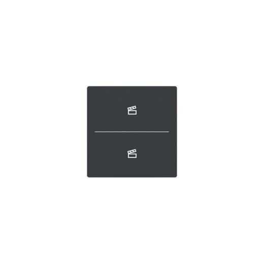 Busch-Jaeger Abdeckung LFST/A.2.63.11-81 Taster 2-fach m. Symbol Szene