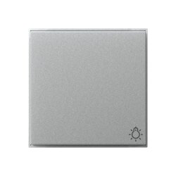 Gira Wippe 328565 Symb.Licht TX44 WG UP F Alu