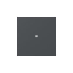 Gira Wippe 329028 Kontrollf.Sys.55 anthr