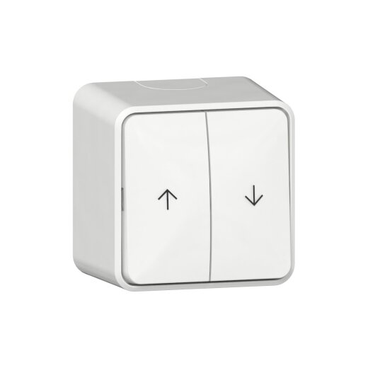 Gira Wippschalter 315913 Jal Pfeile AP rws