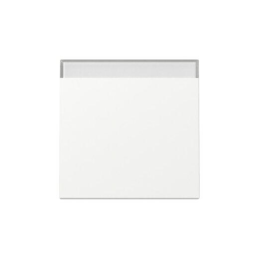 Gira Wippe 329927 BSF Sys.55 rws m