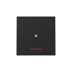 Gira Wippe Kontrollf.+Heizung Ein/Aus Sys.55 sw m