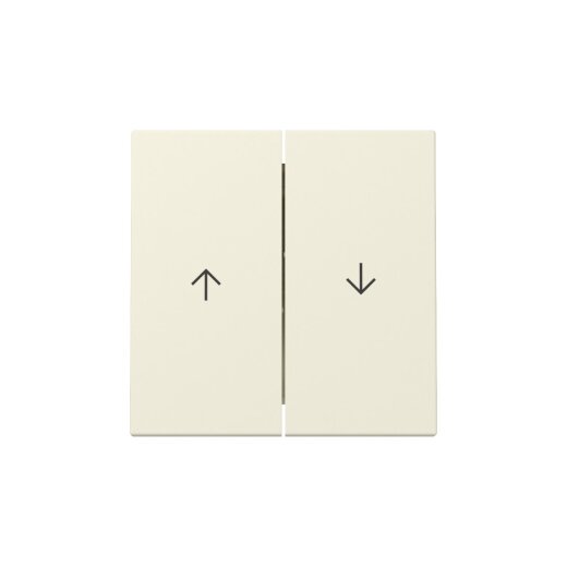 Gira Wippe 329401 2f Pfeil Sys.55 cws