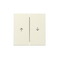 Gira Wippe 329401 2f Pfeil Sys.55 cws