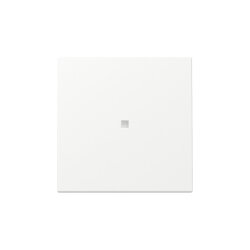 Gira Wippe 329027 Kontrollf.Sys.55 rws m