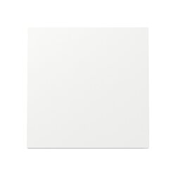 Gira Wippe 329670 FL RW