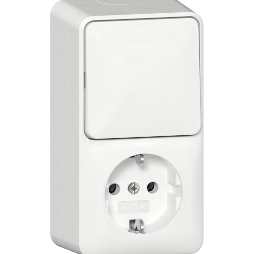 Gira Steckdose SCHUKO 417613 Kombi AusWe senk.AP RW