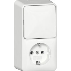 Gira Steckdose SCHUKO 417613 Kombi AusWe senk.AP RW