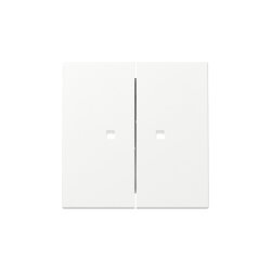 Gira Wippe 363127 2f Kontrollf.Sys.55 rws m