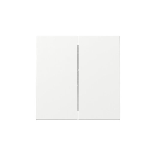 Gira Wippe 329503 2f Sys.55 rws