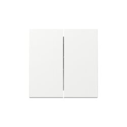 Gira Wippe 329503 2f Sys.55 rws