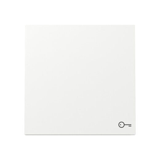 Gira Wippe 328770 Sym.Tür FL RW