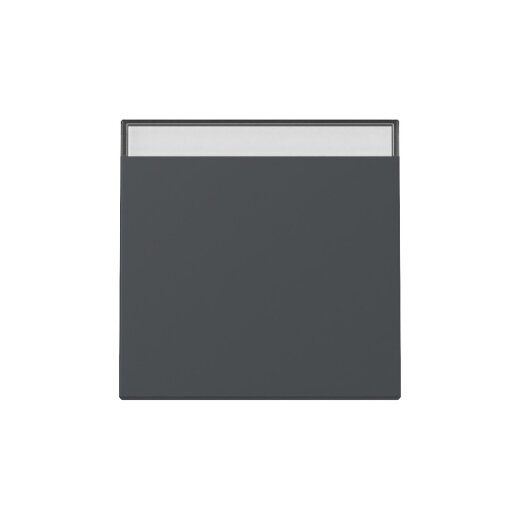 Gira Wippe 329928 BSF Sys.55 anthr